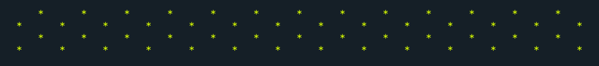 Bottom Banner